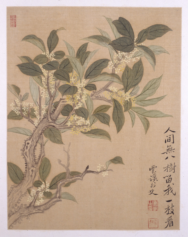 恽寿平《花卉图册》 | 湖南博物院
