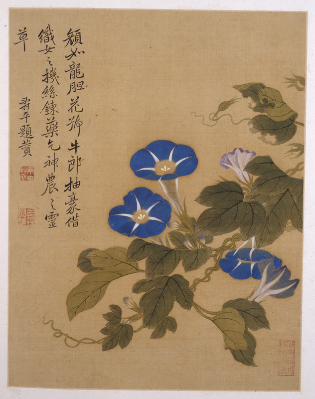 恽寿平《花卉图册》 | 湖南博物院
