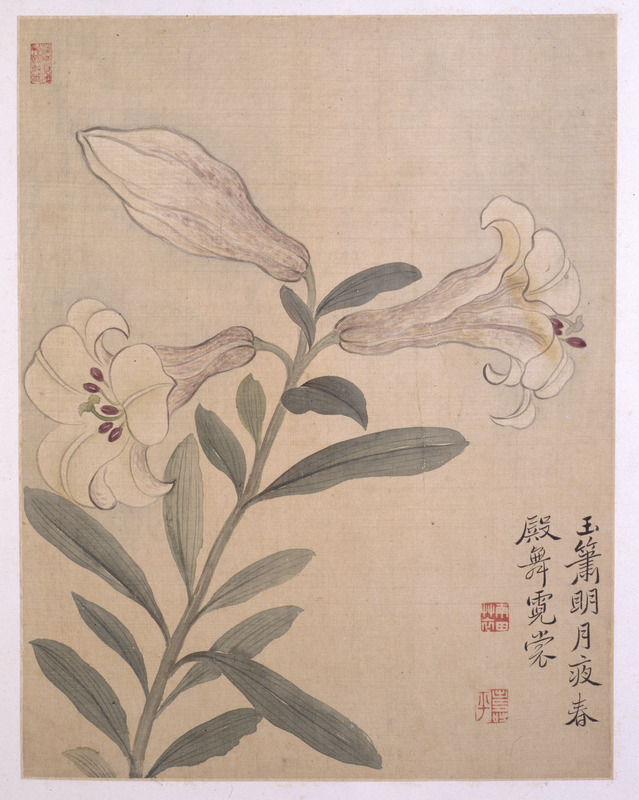 早割クーポン！ 恽寿平《花卉图册》 | 湖南博物院 絵画