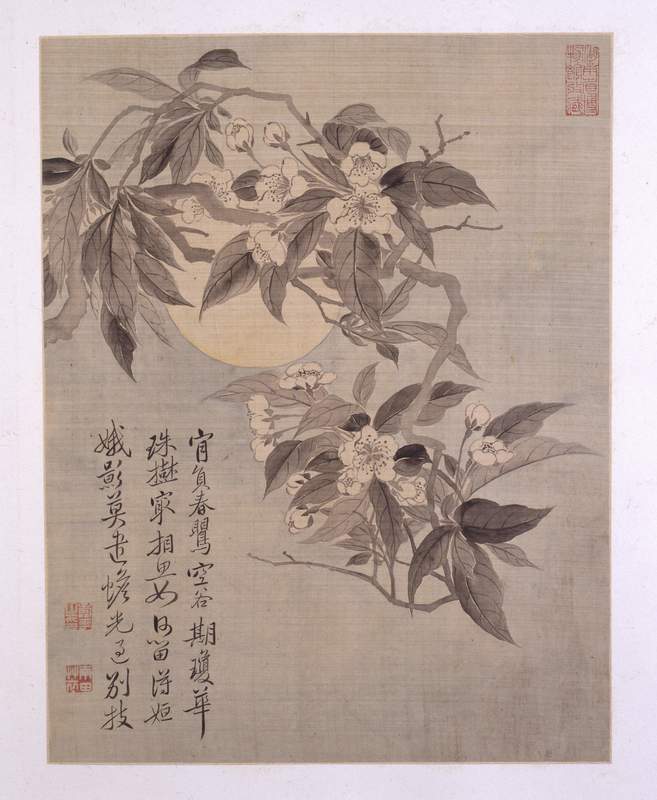 恽寿平《花卉图册》 | 湖南博物院