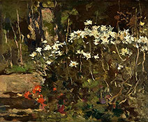 Giardino con margheriteջ԰Ludovico Tommasi ¬ά•