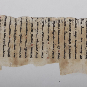 回鹘文《美味经》