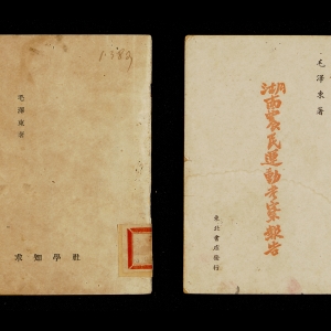 《湖南农民运动考察报告》不仅真实、具体地记录了毛泽东考察湖南农民运动的伟大实践,而且用马克思主义的立场观点和阶级分析的方法论述了农民问题在中国革命中的重要地位和无产阶级领导农民斗争的极端重要性,批评了陈独秀的右倾错误,提出了正确对待和加强农民运动的意见,成为指导农民运动的纲领性文献。 湖南农民运动考察报告两种版本