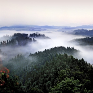 坚定不移走生态优先、绿色发展之路,大力发展旅游产业。图为全面封山育林的湖南省常德市花岩溪风景区。 全面封山育林的湖南省常德市花岩溪风景区