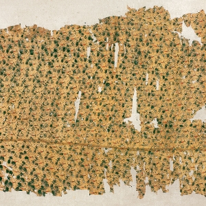 印花敷彩纱