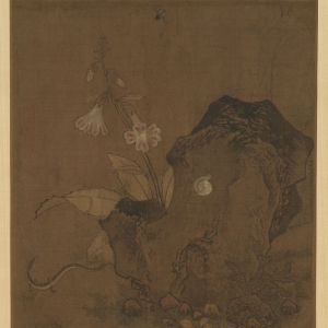 宋 无款 花石草虫图页 宋 无款 花石草虫图页