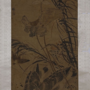 明 林良 荷塘集禽图轴 明 林良 荷塘集禽图轴