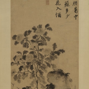 明 唐寅 菊花图轴 明 唐寅 菊花图轴