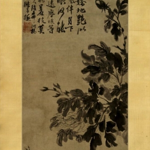清 石涛 牡丹兰花图轴 清 石涛 牡丹兰花图轴